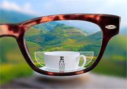 Bifocal