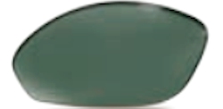Polarized Green Weather: Sunny/Cloudy/Foggy