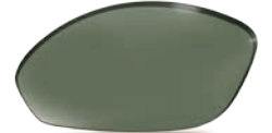 Forest Gray