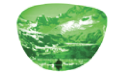 Green Solid Mirror