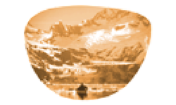 Metallic Gold Solid Mirror