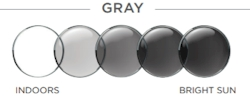 Polychromatic Gray