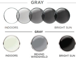Gray Transitions XTRActive
