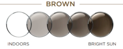Transitions GEN-S Signature Brown