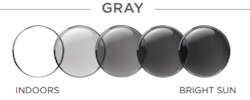 Transitions GEN-S Signature Gray