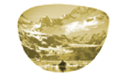 Yellow Silver Solid Mirror