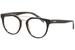 Black/Tortoise - C02