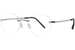 Shiny Silver-