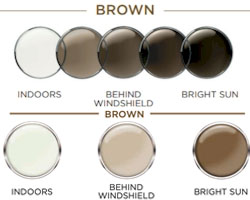 Brown Transitions XTRActive